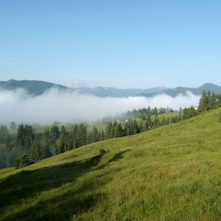 Karpatskiy Maetok Daire Verkhovyna Dış mekan fotoğraf