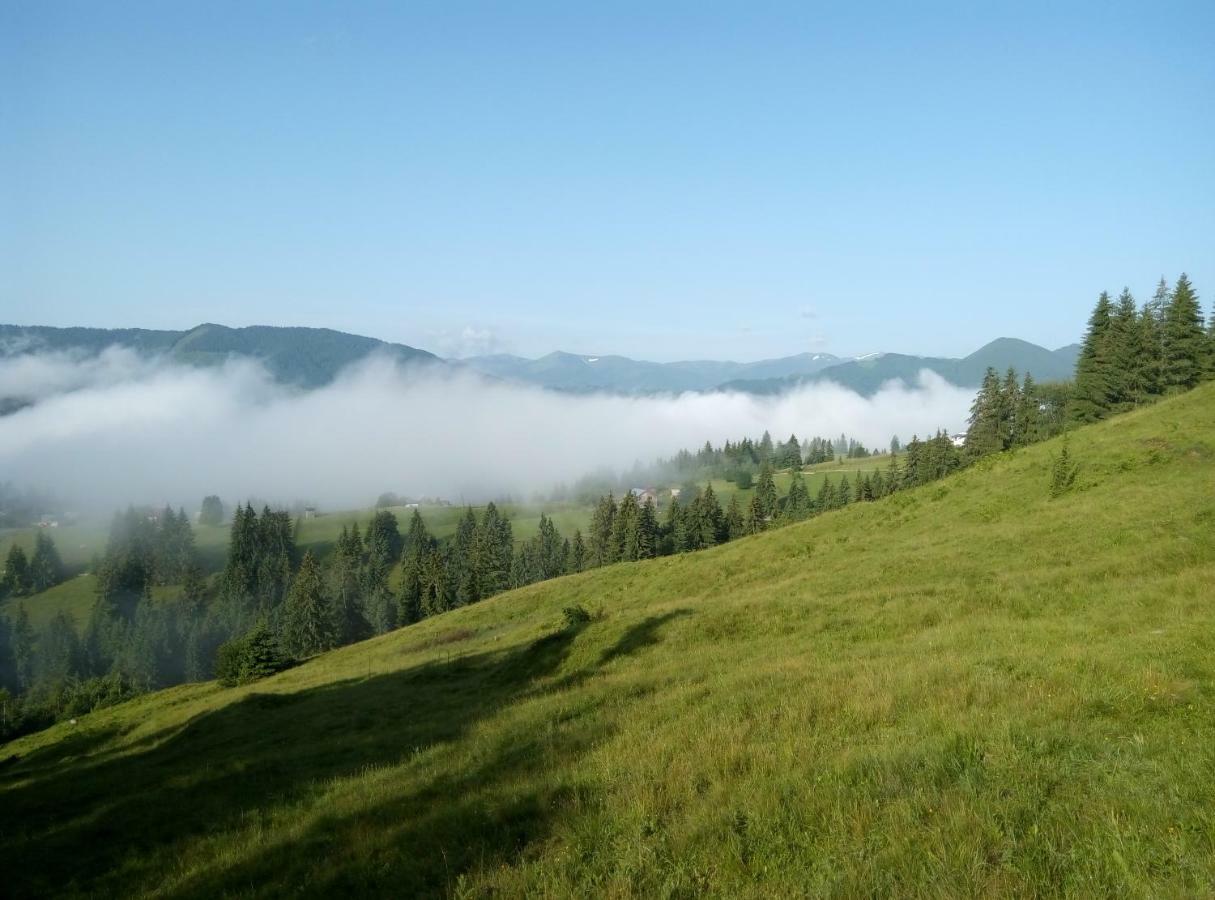 Karpatskiy Maetok Daire Verkhovyna Dış mekan fotoğraf